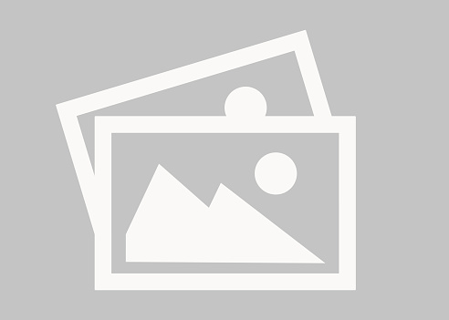 Label (Plak Şirketi) Kurulum Danışmanlığı